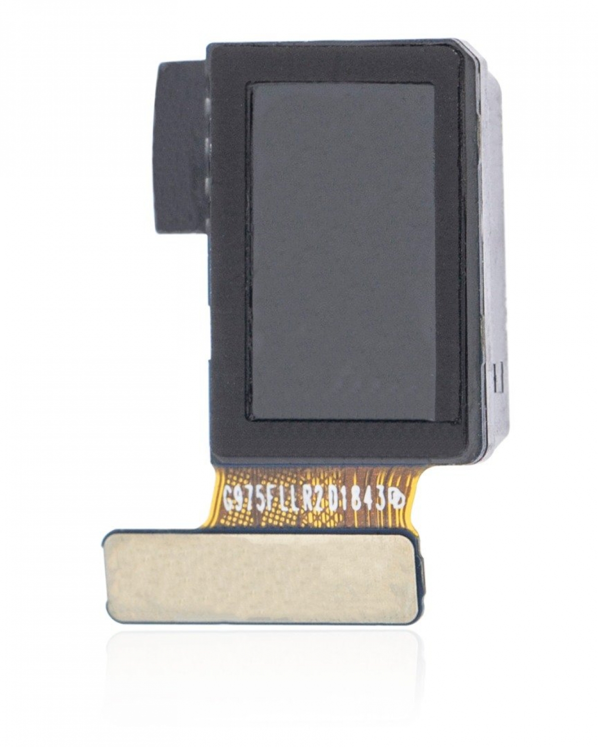 Samsung Galaxy S10 Plus G975 Ön Kamera Orijinal