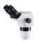 Amscope Kafa Beyaz