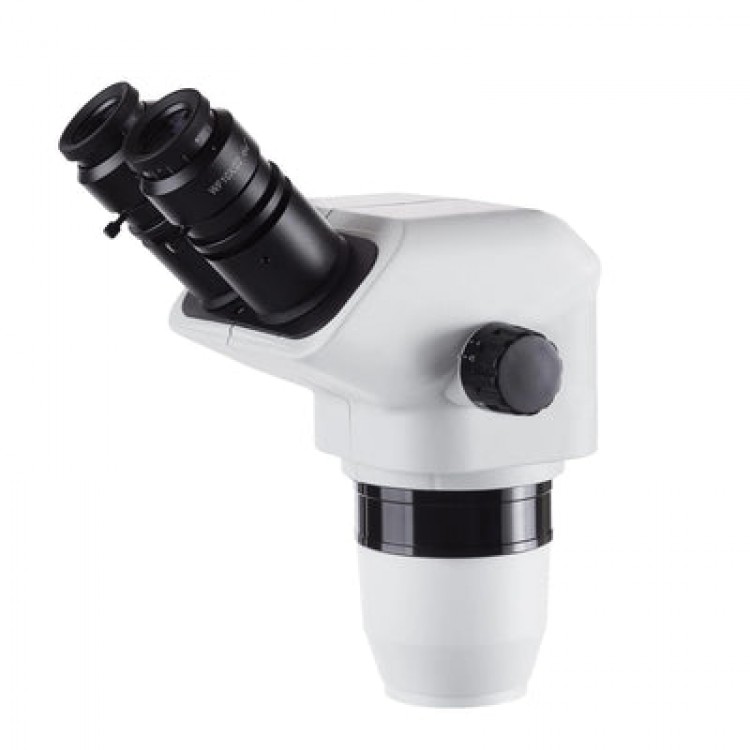 Amscope Kafa Beyaz