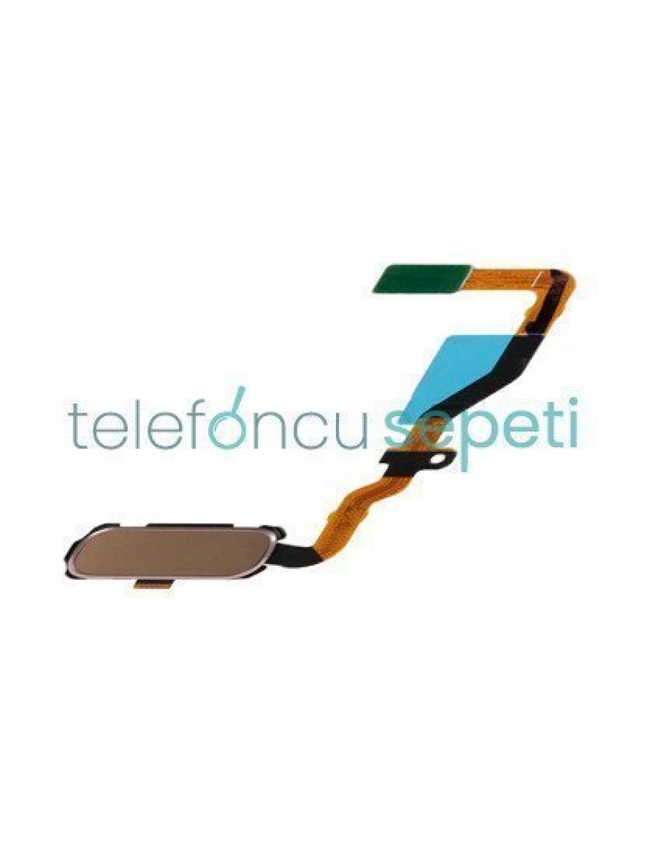 Samsung Galaxy S7 G930 Home Tuş Bordu Filmi Gold