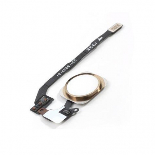 iPhone 5 Se Home Tuş Bordu Filmi Gold