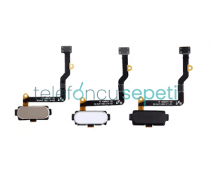 Samsung Galaxy C7 C7000 Home Tuş Bordu Filmi Flex Gold