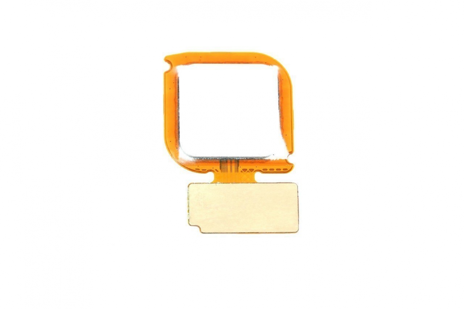 Huawei P10 Lite Home Parmak Okuyucu Filmi Beyaz