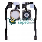 iPhone 5s Home Tuş Bordu Filmi Gold iPhone 5s Home Tuş Bordu Filmi Gold
