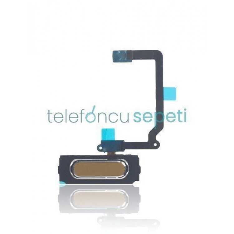 Samsung Galaxy S5 G900 Home Tuş Bordu Filmi Gold