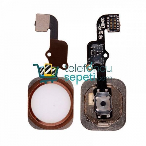 iPhone 6s Plus Home Tuş Bordu Filmi  Rose