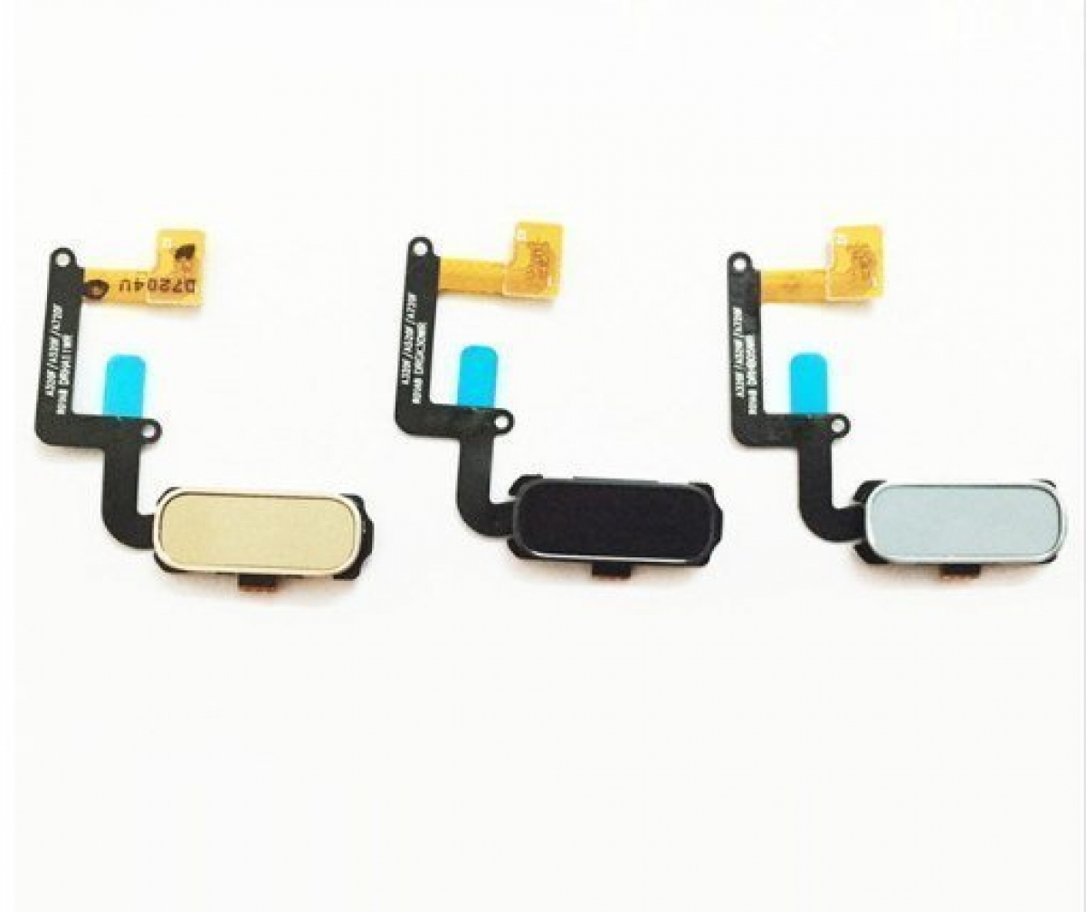 Samsung Galaxy A520 Home Tuş Bordu Filmi Mavi