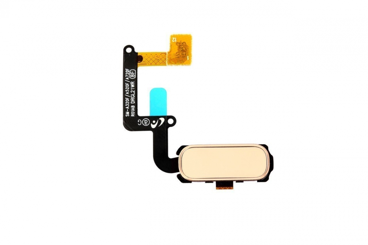 Samsung Galaxy A520 Home Tuş Bordu Filmi Rose