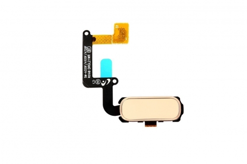 Samsung Galaxy A520 Home Tuş Bordu Filmi Rose