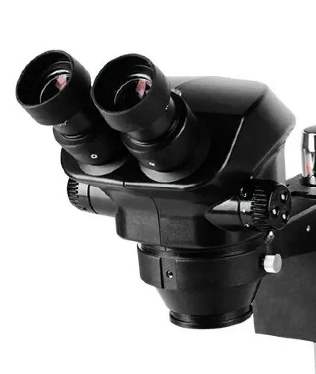 Mikroskop Zs 7050 Kafa Beyaz